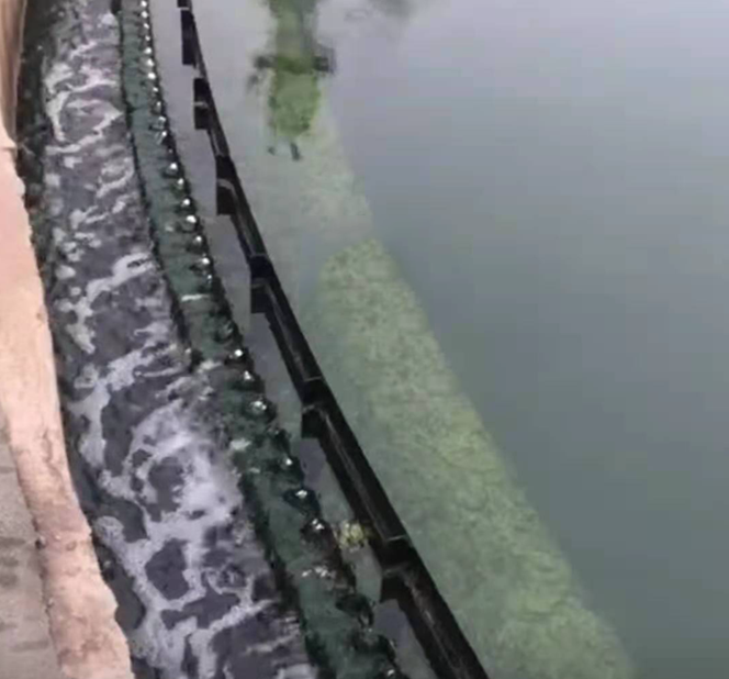 QQ圖片20230221103425