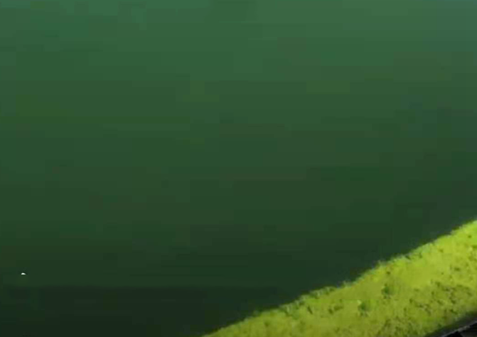 QQ圖片20230221103517