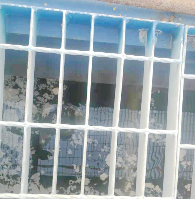 QQ圖片20230221103554